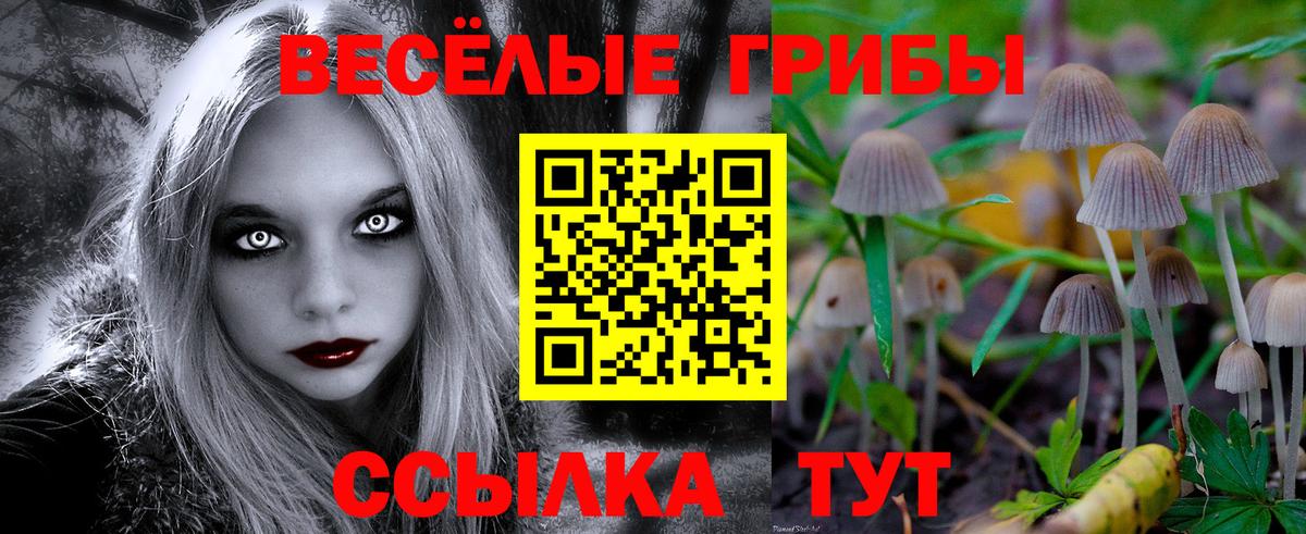 Галлюциногенные грибы Psilocybe Великий Устюг