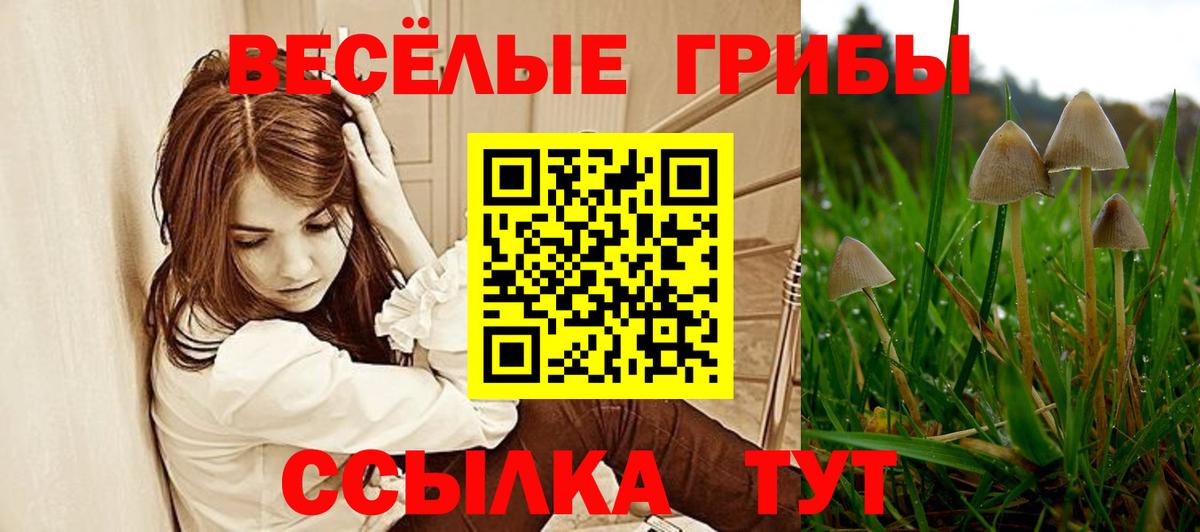 Великий Устюг  Галлюциногенные грибы Cubensis  Вход с VPN 
